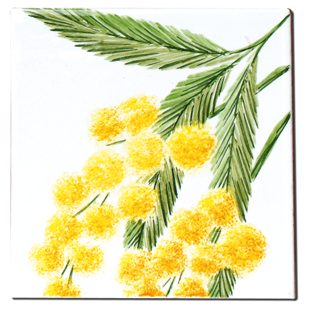 Carrelage - Décoration - Flore - Mimosa - Motif - Design - Faïence de Provence