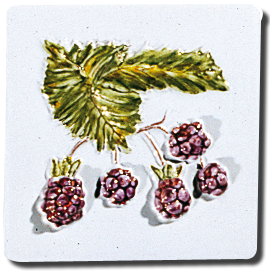 Carrelage - Décoration - Les fruits- Motif - Design - Faïence de Provence à Salernes