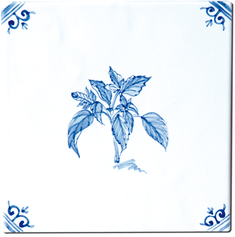 Aromates - Carrelage - Décoration - Delft Provençal- Motif - Design - Faïence