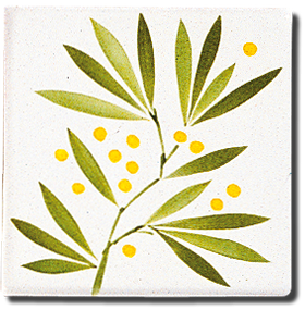 Carrelage - Décoration - Frise Senteur de Provence Mimosas- Motif - Design - Faïence de Provence à Salernes