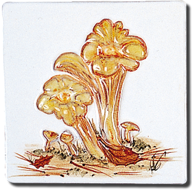 Carrelage - Décoration - Champignons - Motif - Design - Faïence de Provence à Salernes